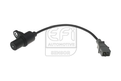 EFI AUTOMOTIVE 303041