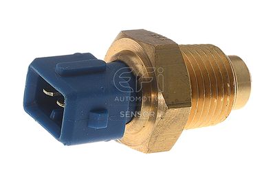 EFI AUTOMOTIVE 295099