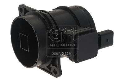 EFI AUTOMOTIVE 305060