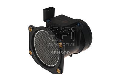 EFI AUTOMOTIVE 305013