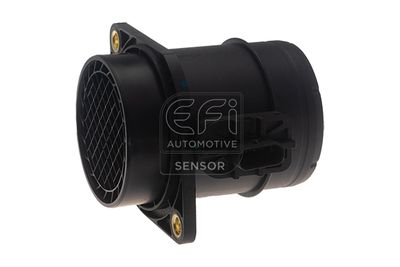 EFI AUTOMOTIVE 305188