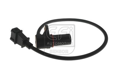 EFI AUTOMOTIVE 303054