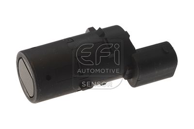 EFI AUTOMOTIVE 306073