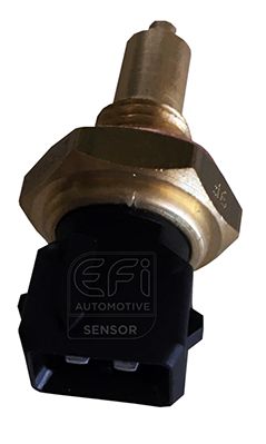 EFI AUTOMOTIVE 295019