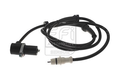 EFI AUTOMOTIVE 302066