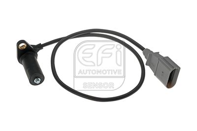 EFI AUTOMOTIVE 303061