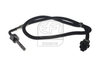 EFI AUTOMOTIVE 1473218