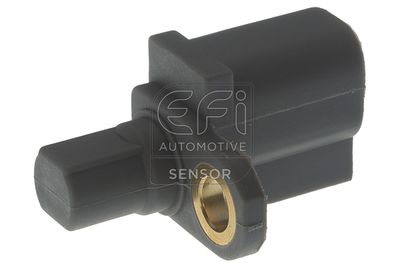 EFI AUTOMOTIVE 302480