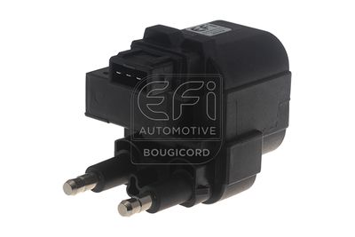 EFI AUTOMOTIVE 155018