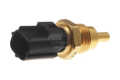 EFI AUTOMOTIVE 295063 EFI AUTOMOTIVE 295063