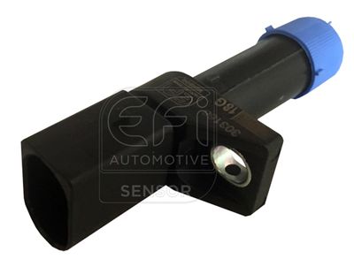 EFI AUTOMOTIVE 303188