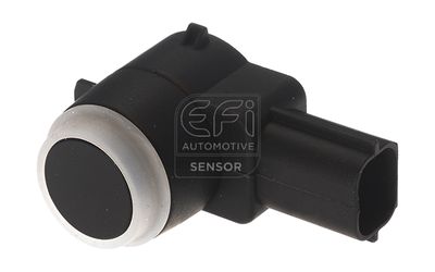 EFI AUTOMOTIVE 306010