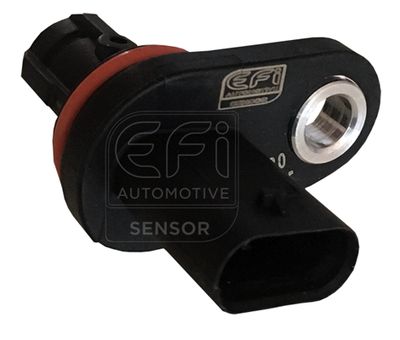 EFI AUTOMOTIVE 303355