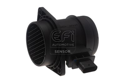 EFI AUTOMOTIVE 305192