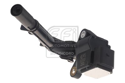 EFI AUTOMOTIVE 155521