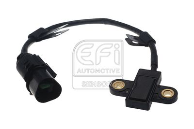 EFI AUTOMOTIVE 303475