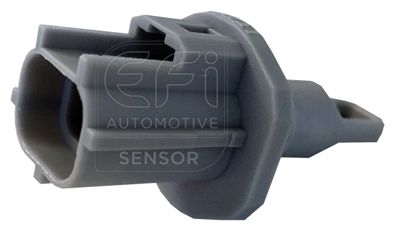 EFI AUTOMOTIVE 295042