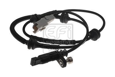 EFI AUTOMOTIVE 302380