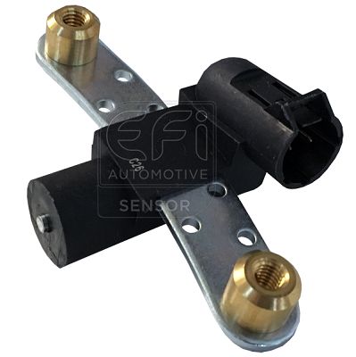 EFI AUTOMOTIVE 303151