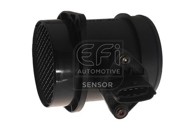 EFI AUTOMOTIVE 305056