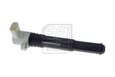 EFI AUTOMOTIVE 155217