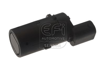 EFI AUTOMOTIVE 306021