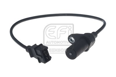 EFI AUTOMOTIVE 303461