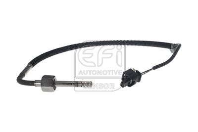 EFI AUTOMOTIVE 1473205