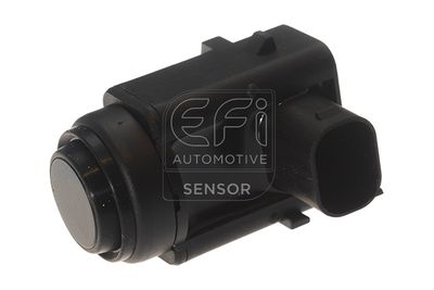 EFI AUTOMOTIVE 306020