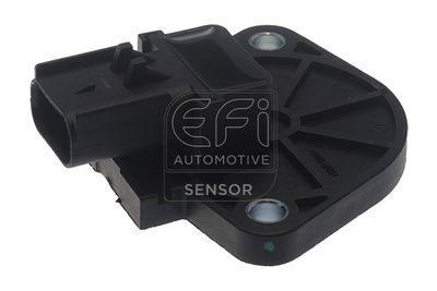 EFI AUTOMOTIVE 303469