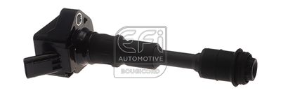 EFI AUTOMOTIVE 155531