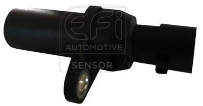 EFI AUTOMOTIVE 303182