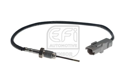 EFI AUTOMOTIVE 1473157