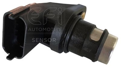 EFI AUTOMOTIVE 303213