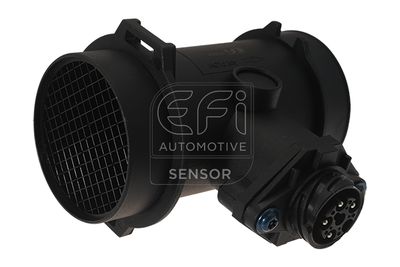 EFI AUTOMOTIVE 305004