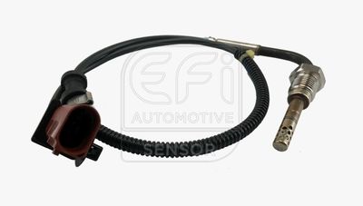 EFI AUTOMOTIVE 1473968