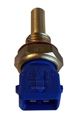 EFI AUTOMOTIVE 295001