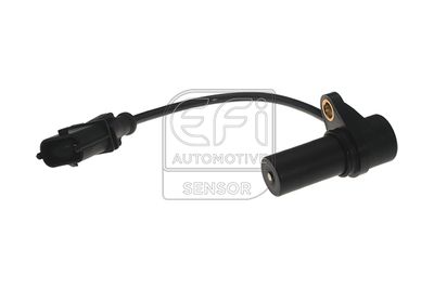 EFI AUTOMOTIVE 303062