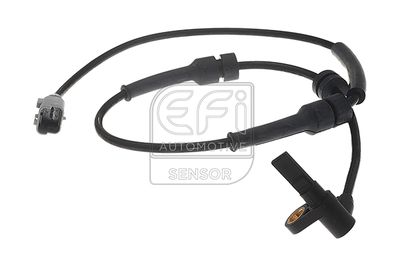 EFI AUTOMOTIVE 302085