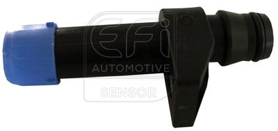 EFI AUTOMOTIVE 303175