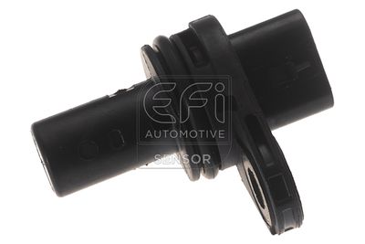 EFI AUTOMOTIVE 147251