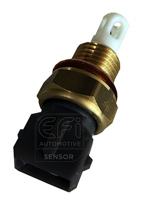 EFI AUTOMOTIVE 295039