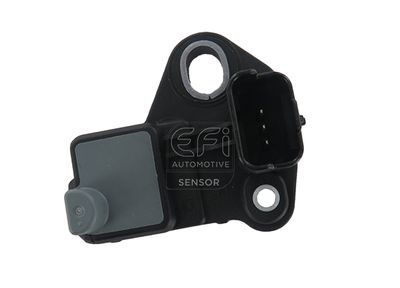 EFI AUTOMOTIVE 144382