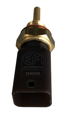 EFI AUTOMOTIVE 295145