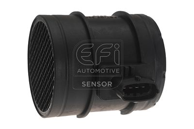 EFI AUTOMOTIVE 305066