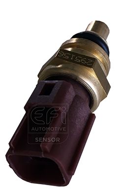 EFI AUTOMOTIVE 295156