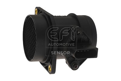 EFI AUTOMOTIVE 305087