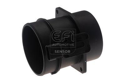 EFI AUTOMOTIVE 305176