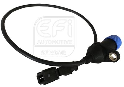 EFI AUTOMOTIVE 303006