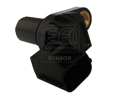 EFI AUTOMOTIVE 303327